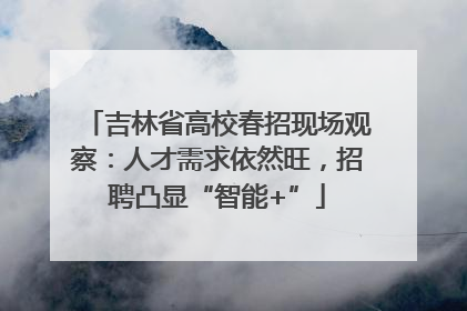 吉林省高校春招现场观察：人才需求依然旺，招聘凸显“智能+”